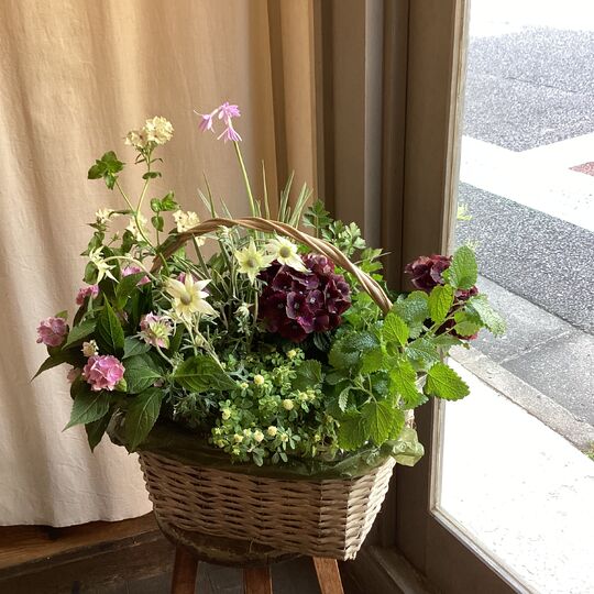 母の日の寄せ籠ギフト